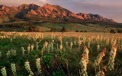 Filming the Mountain West: Production and Safety Updates