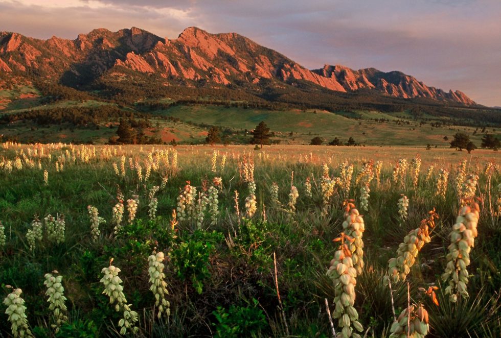 Filming the Mountain West: Production and Safety Updates - Destination ...