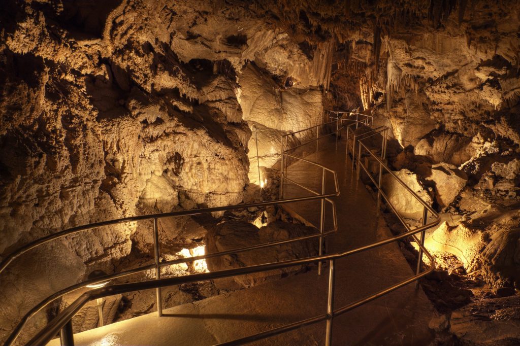 Lake-Shasta-Caverns-4-scaled