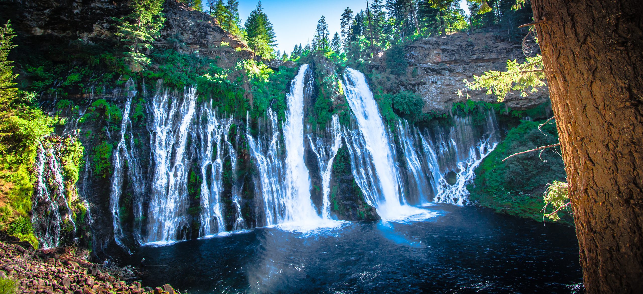 Custer State Park