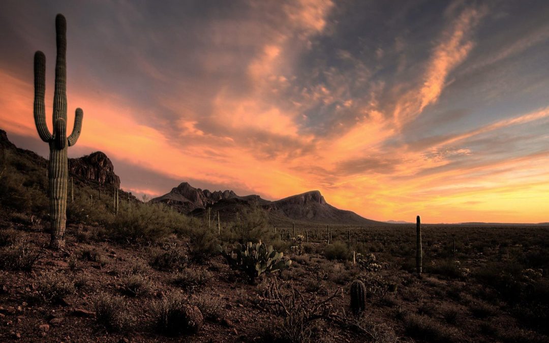 Marana Arizona