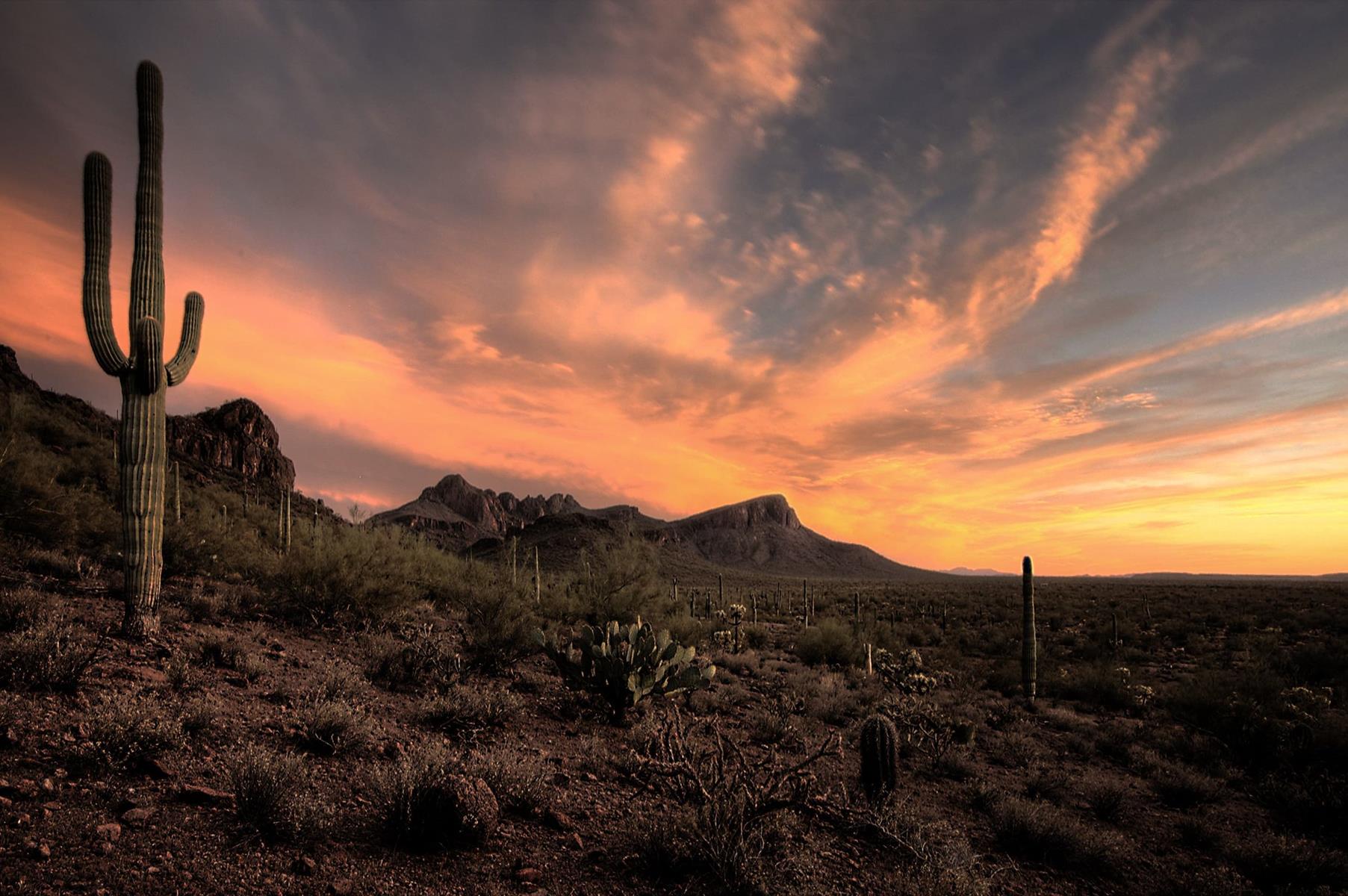 Marana