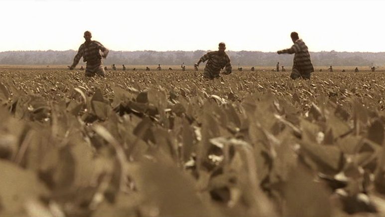 Mississippi, O Brother, Where Art Thou?, Buena Vista Pictures