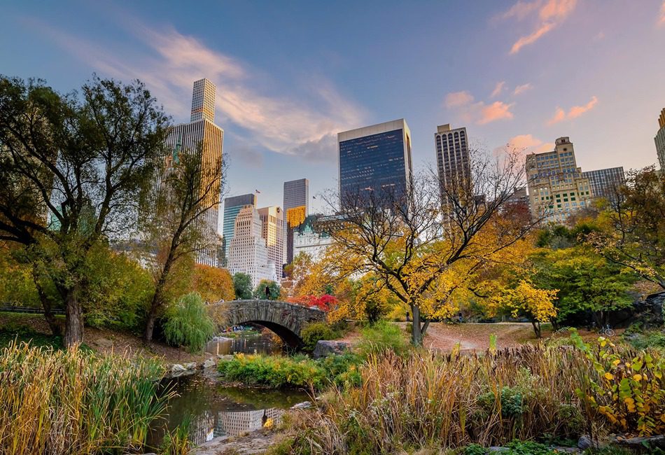 Central Park river bridge. Photo credit shamaoonstudio via Freepik Premium