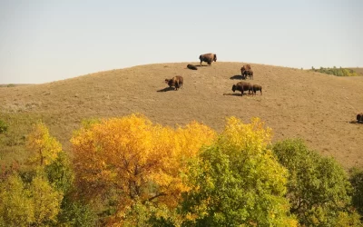Saskatchewan