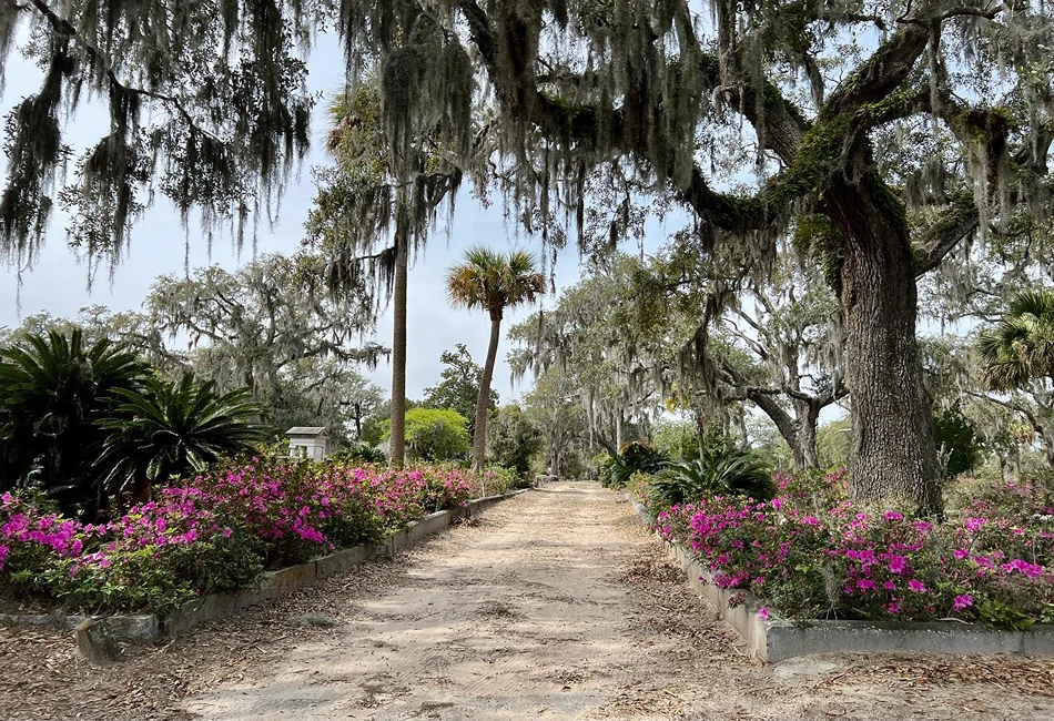 Bonaventure Cemetery in Savannah, GA. Photo credit BrazenJumper IG