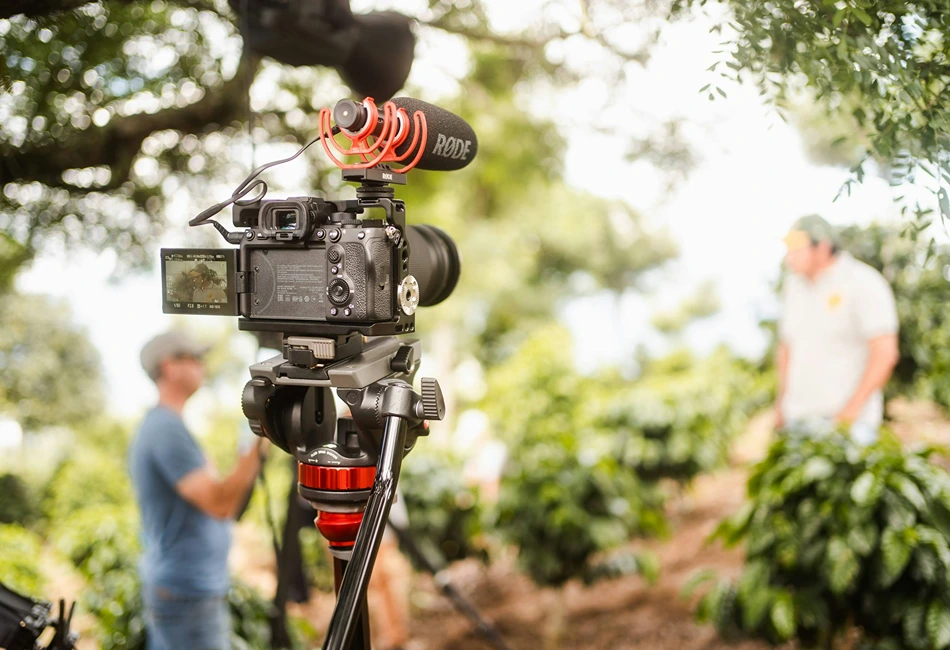 Specialized film grants for documentaries. Photo credit Esteban Benites via Unsplash