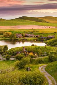 Hobbit-town in New Zealand. Photo credit New Zealand Facebook