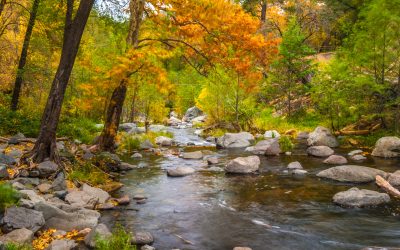 Arizona Filming Locations and Incentives
